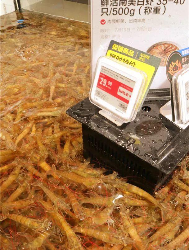 实拍！青岛第二家盒马来了，龙虾89/只、面包蟹98/只