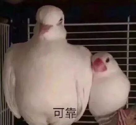 留学手机卡办理攻略,去法国留学办理什么银行卡