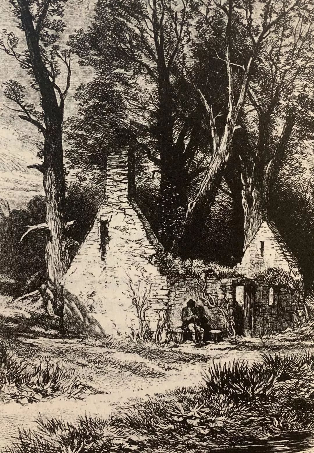 为什么作家喜欢读书,为什么作家喜欢写土地