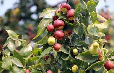 为什么作家喜欢读书,为什么作家喜欢写土地