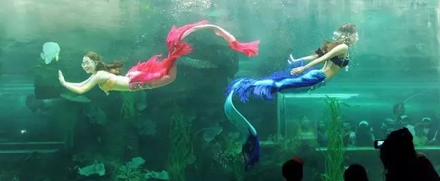 亲子游两天一夜度假酒店,五星酒店三日游