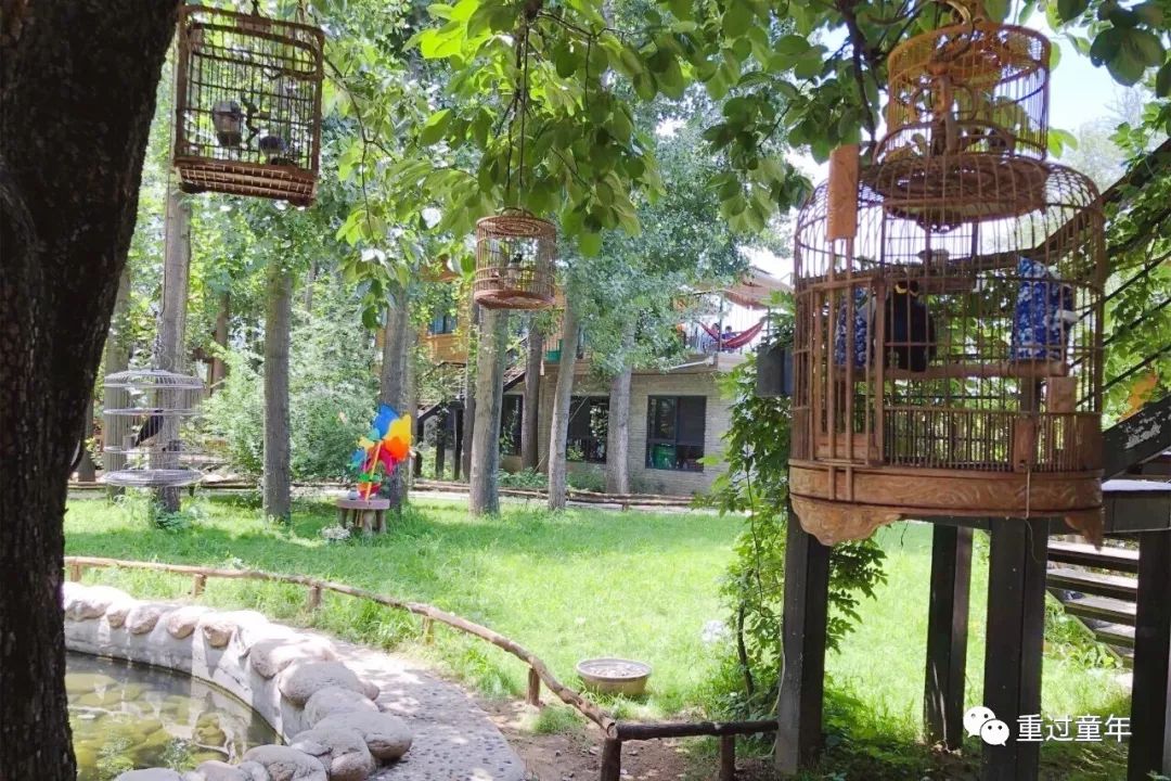 值得一去的农家乐推荐,山间农家乐值得去吗