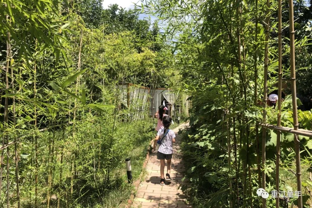 值得一去的农家乐推荐,山间农家乐值得去吗