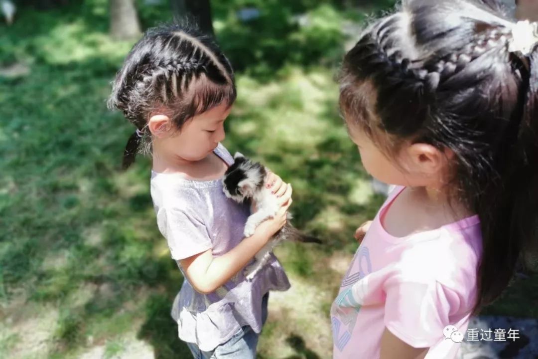 值得一去的农家乐推荐,山间农家乐值得去吗