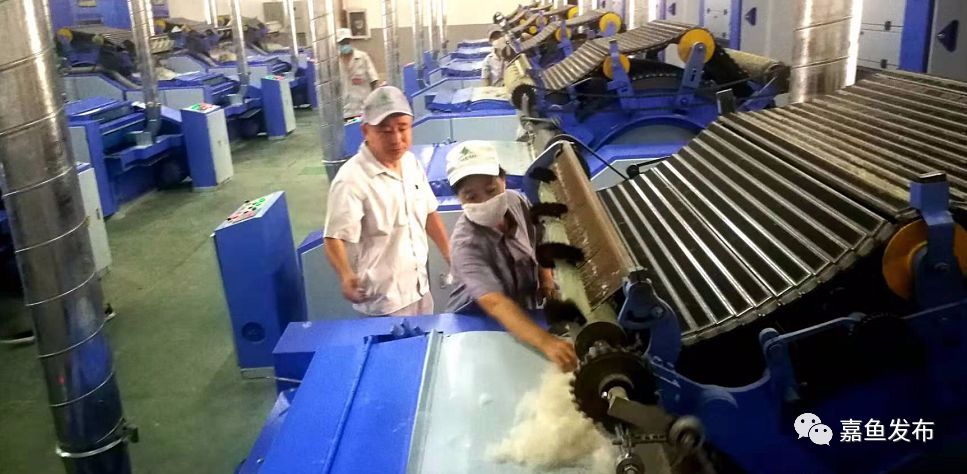 王远鹤咸宁,嘉鱼县委书记王远鹤