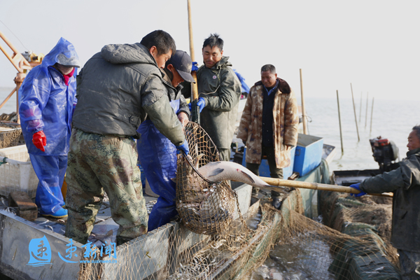 守护这一湖碧水泗洪这样做