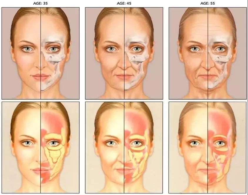 angelababy朝镜头走过来原视频ins,insangelababy