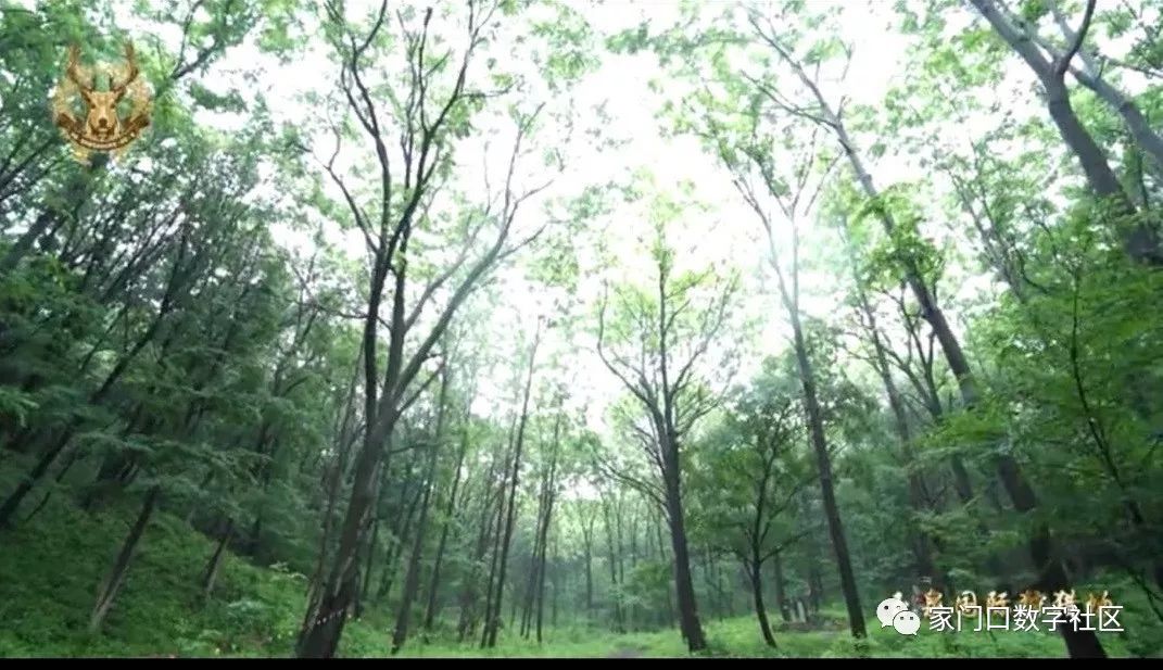 家门口APP上线测试！今起每天发100张玉泉景区门票，还有社区在发鸡蛋……