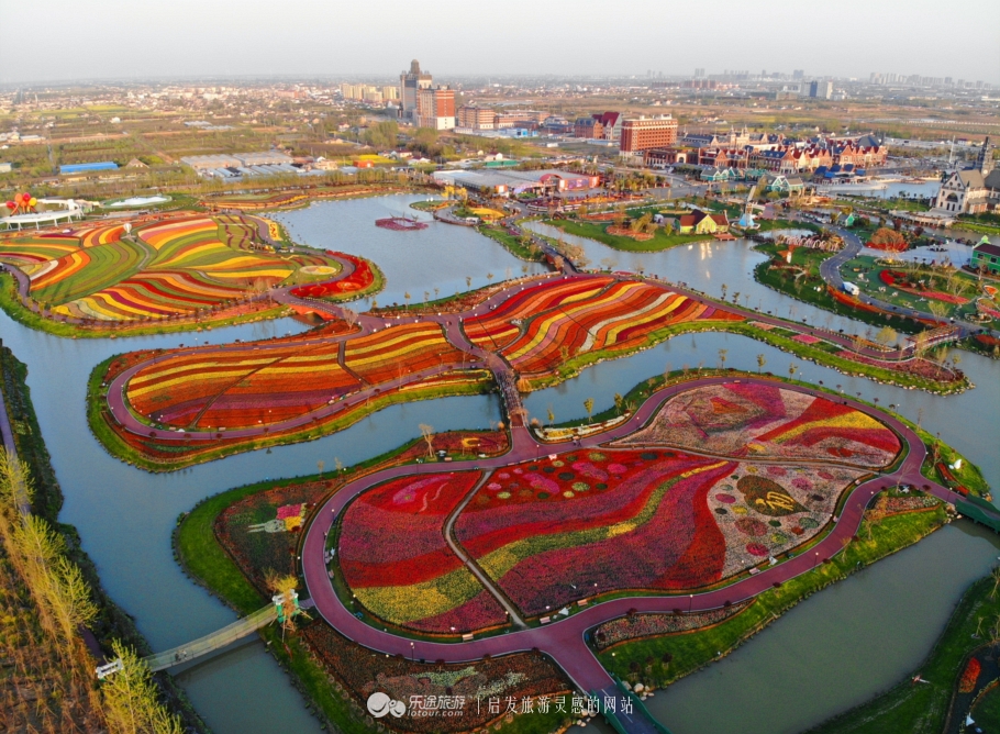 荷兰郁金香花海在哪个地方,盐城大丰荷兰郁金香花海