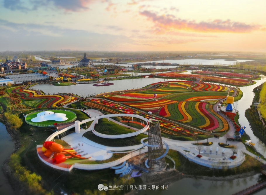 荷兰郁金香花海在哪个地方,盐城大丰荷兰郁金香花海