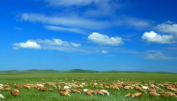 最近能去呼伦贝尔大草原么,佛山出发呼伦贝尔自驾攻略