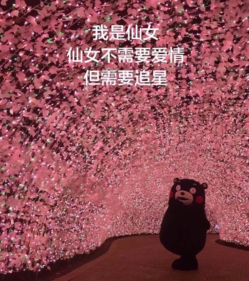 豆瓣8.7分下饭神剧,8.7分的神剧