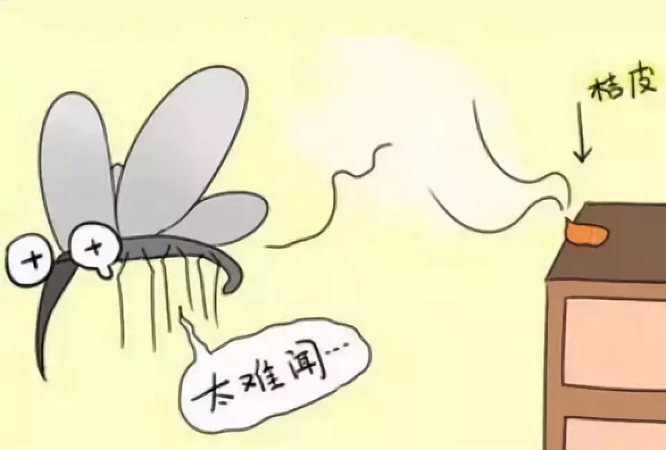 夏天车里有蚊子怎么治,夏天车内有蚊子怎么快速解决