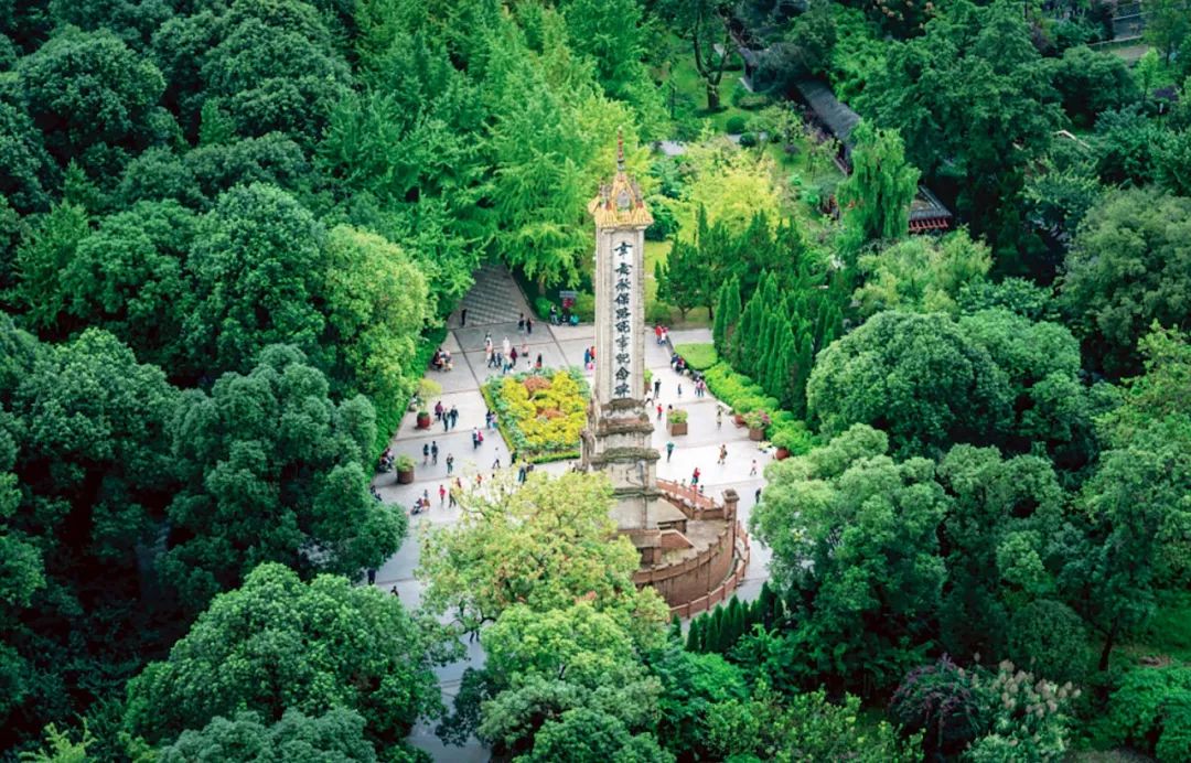 骨子里的红色血脉,骨子里的红色基因