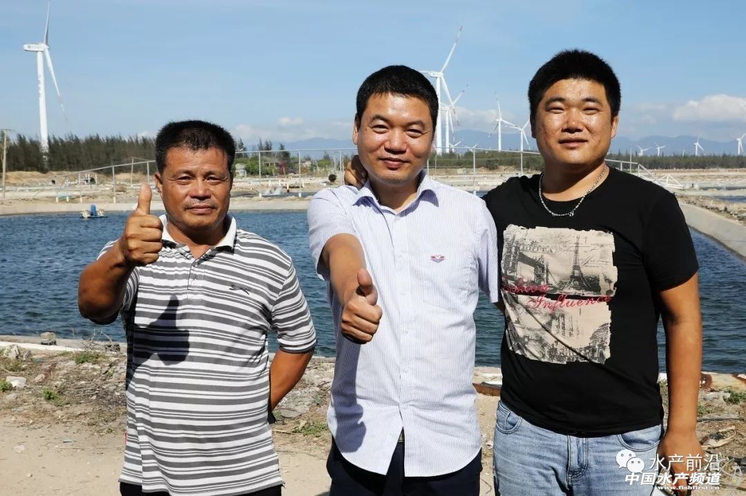 国内能养的虎类品种排行,什么品种的虎最好养