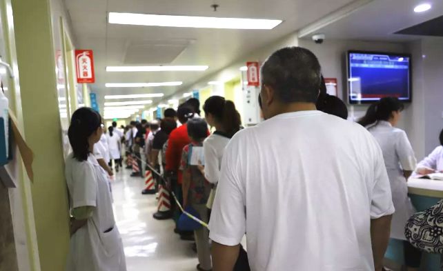 三伏贴卖不好的原因,三伏贴乱象调查