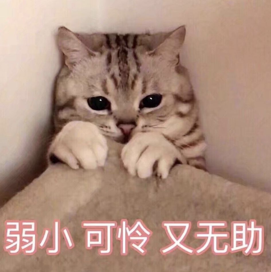 ar美妆,ar美妆发型