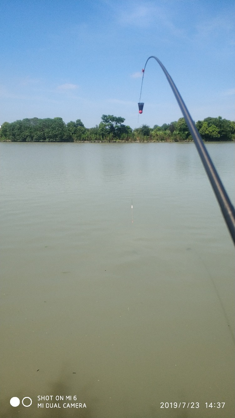 钓鱼享百味人生,钓鱼享乐趣