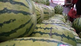 广州市水果市场热闹吗,广州水果市场有杨梅