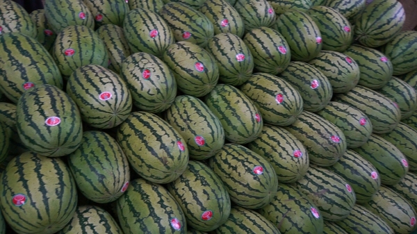 广州市水果市场热闹吗,广州水果市场有杨梅