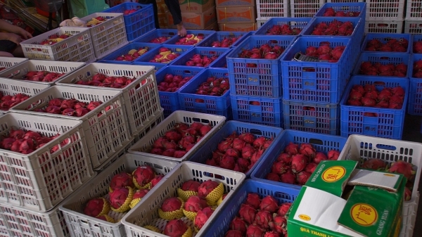 广州市水果市场热闹吗,广州水果市场有杨梅