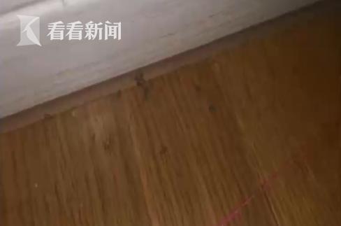 已入住小区的业主关心什么问题,小区一百户人家