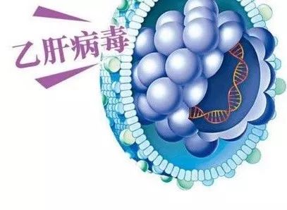 慢性乙肝防治指南的解读,慢性乙肝病人寿命