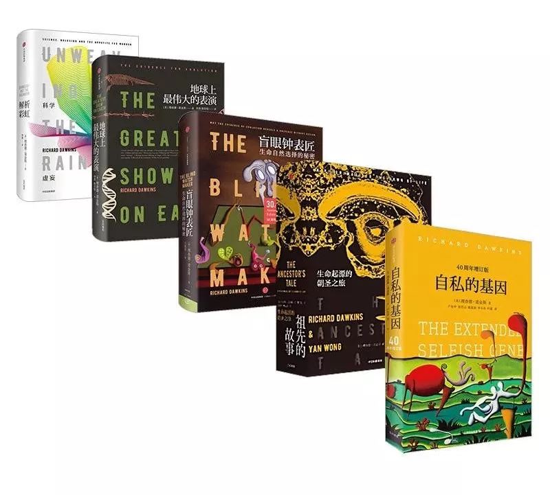 人类进化背后的万年相亲博弈