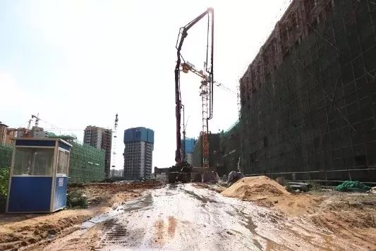 新联丰诚学校、虎门中医院搬迁、北栅街心公园……这些民生实事有新进展