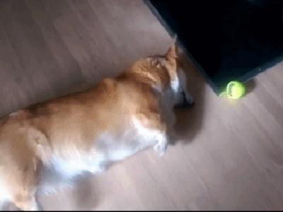 佛山国庆假期有哪些免费景点,佛山明珠体育馆开放时间