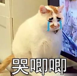 彩虹预报准确率,彩虹预报准确率是多少