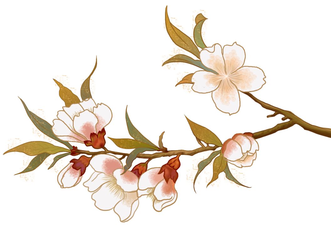 保护血管？桃子的9大功效你一定要知道