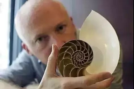 数学顶级纪录片,10部趣味数学纪录片