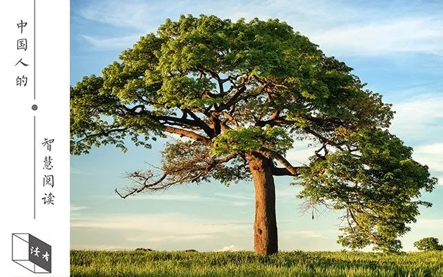 每天坚持六件事运气会越来越好,每天坚持5件事越来越好