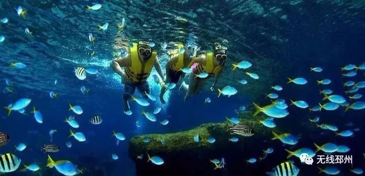 标哥带你去旅行直播,主播带你去旅行新闻稿