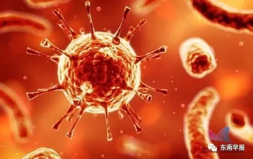 艾滋病传染途径占比最大的是,艾滋病都从哪些途径可以传染