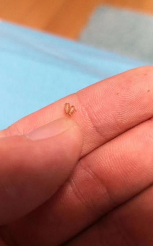 南京金浦紫御东方小区怎么样,南京金浦紫御东方花园