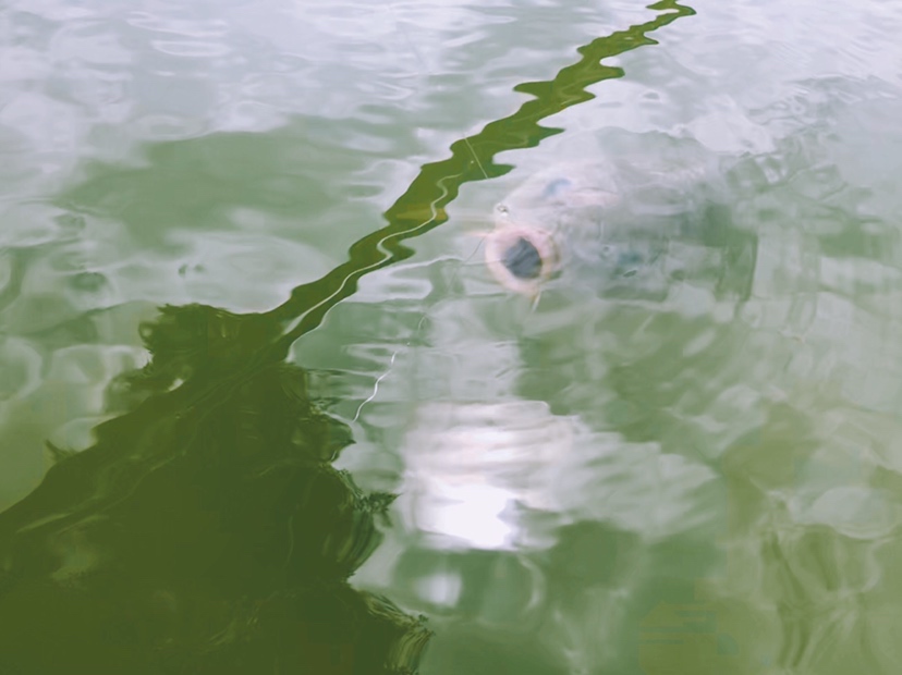 钓鱼装备全套小型鱼竿推荐,私人订制鱼竿路亚