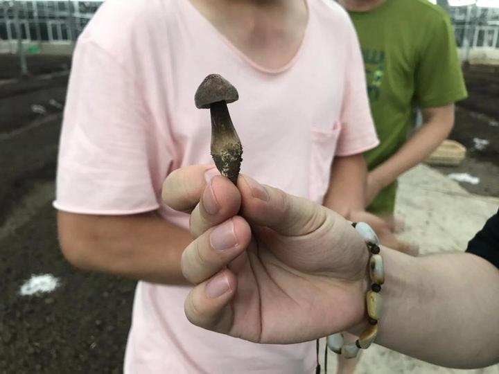 情暖扶贫路⑪丨“杭恩”引活水坪坝营解“渴”