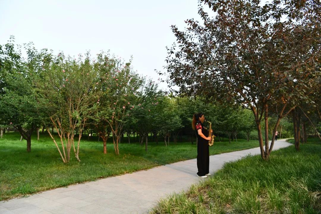 栾城区各村人口,栾城县各镇人口排名