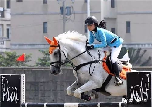 「特稿」赴台自由行被紧急叫停，两岸马术交流或受较大影响