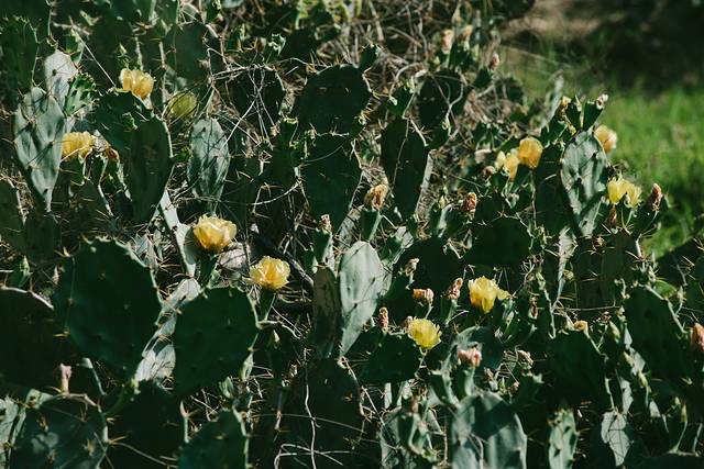 大陆之南，粤西越美，被旅行者忽略的处女地——雷州半岛