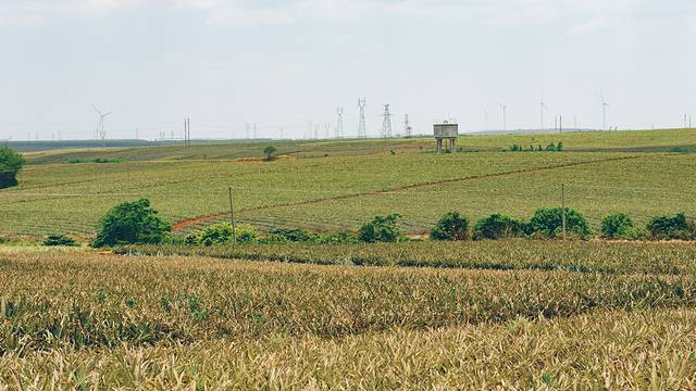 大陆之南，粤西越美，被旅行者忽略的处女地——雷州半岛