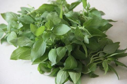 足癣药膏一天涂几次较好,湿疹性皮炎涂了一次药没效果