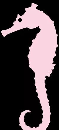 出入境办证攻略,出入境常见问题小贴士