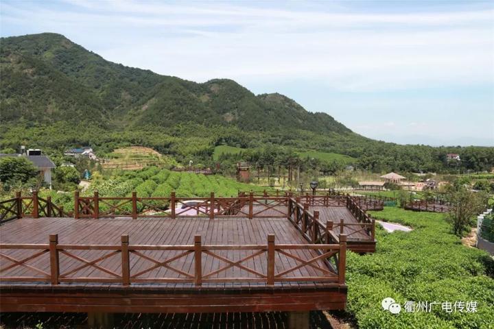 衢州重点项目投资一千亿,衢州投资120亿文旅