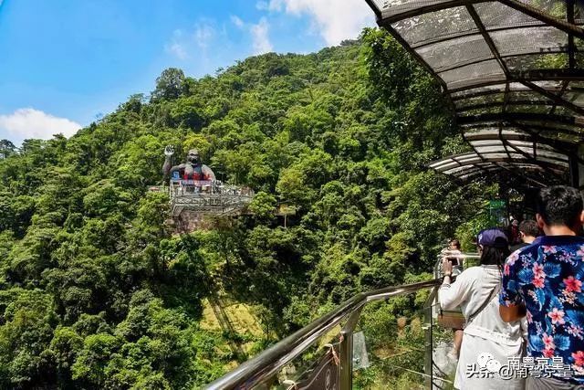 清凉一夏打卡,广东清凉好去处古龙峡
