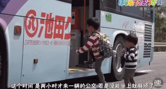 日本跟拍29年的神作，建议你谨慎观看