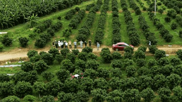 农业无人机超越欧美日本,日本农业无人机