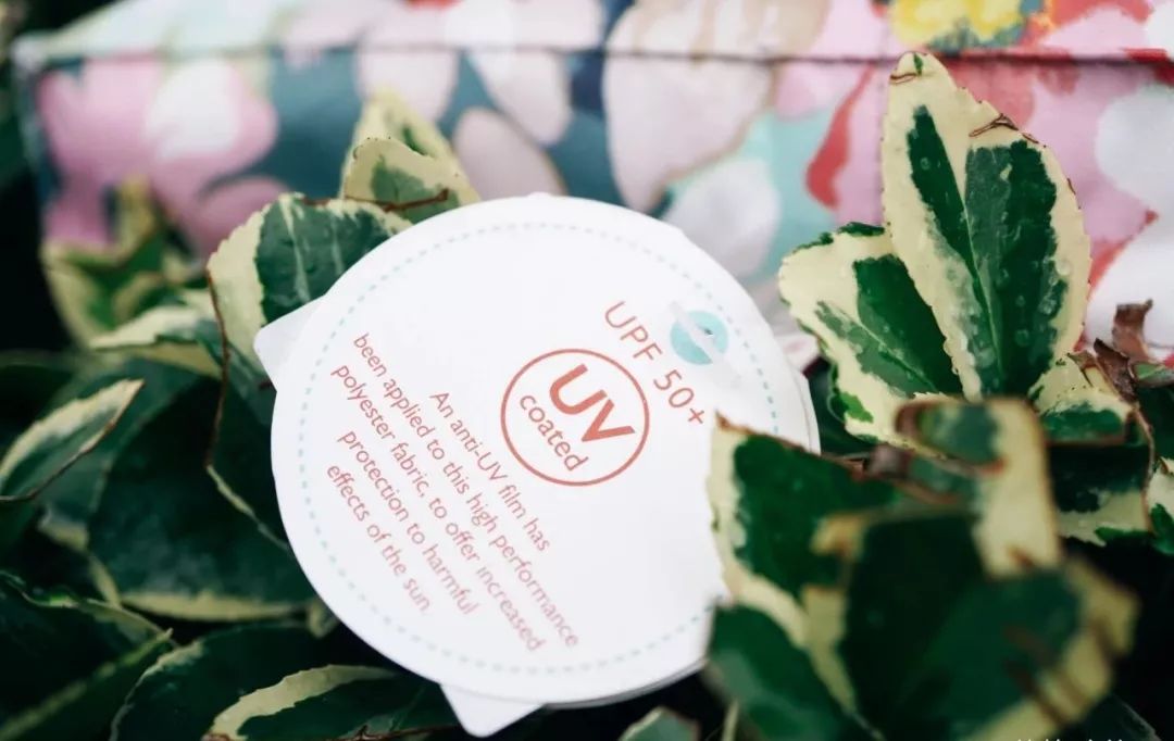 8月好物,八月好物推荐橱窗